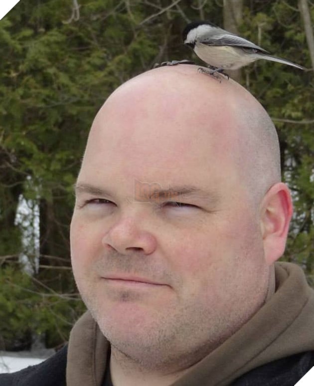 20 hình ảnh về con người gặp gỡ những loài vật hoang dã