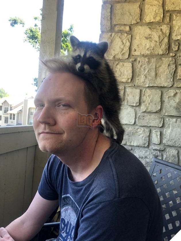 20 hình ảnh về con người gặp gỡ những loài vật hoang dã