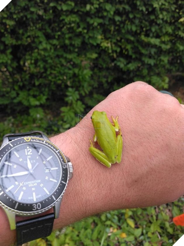 20 hình ảnh về con người gặp gỡ những loài vật hoang dã