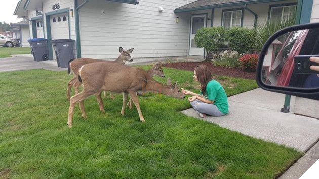 20 hình ảnh về con người gặp gỡ những loài vật hoang dã