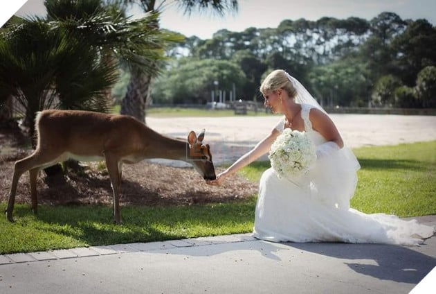 20 hình ảnh về con người gặp gỡ những loài vật hoang dã