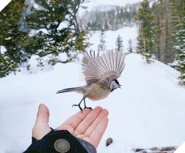 20 hình ảnh về con người gặp gỡ những loài vật hoang dã