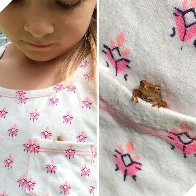 20 hình ảnh về con người gặp gỡ những loài vật hoang dã