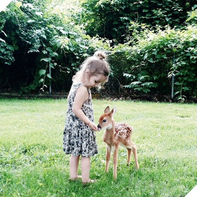 20 hình ảnh về con người gặp gỡ những loài vật hoang dã