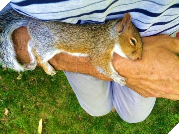 20 hình ảnh về con người gặp gỡ những loài vật hoang dã