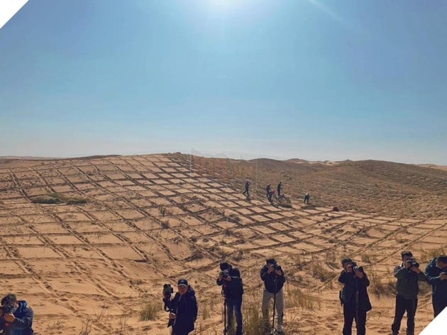 game nông trại My Time Sandrock