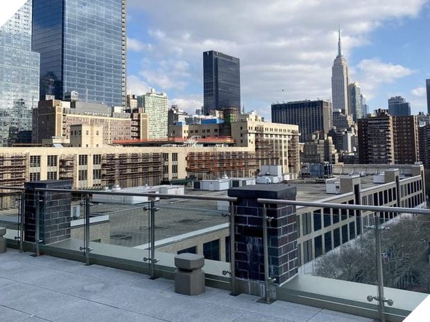 chăm mèo nhưng vẫn tiết kiệm hàng trăm triệu đồng