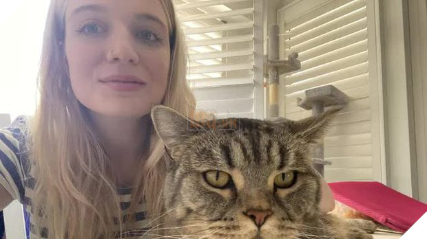 chăm mèo nhưng vẫn tiết kiệm hàng trăm triệu đồng