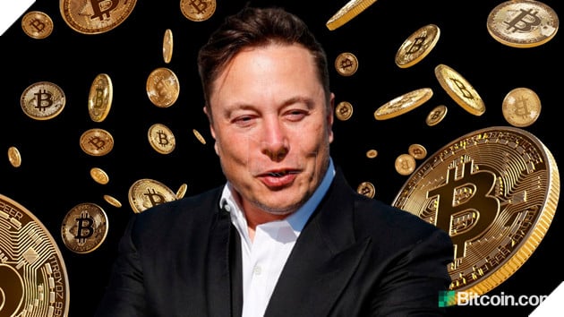 elon musk bị kiện vì dogecoin