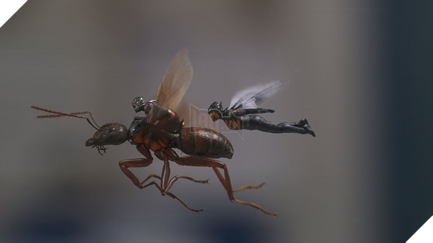 Doctor Strange 2 lẽ ra sẽ còn xử thêm một thành viên Illuminati nữa 4