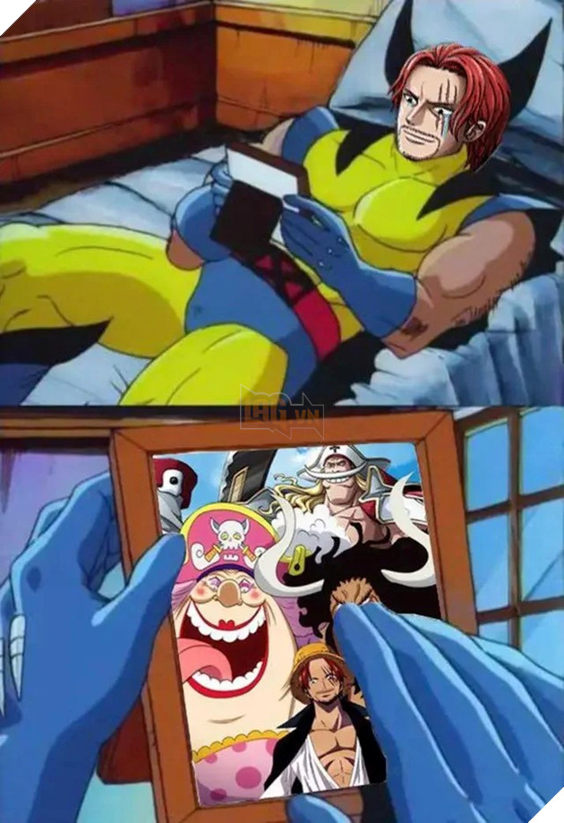 meme one piece 1053