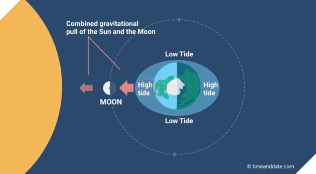Điều gì sẽ xảy ra nếu Mặt trăng biến mất thực sự? 