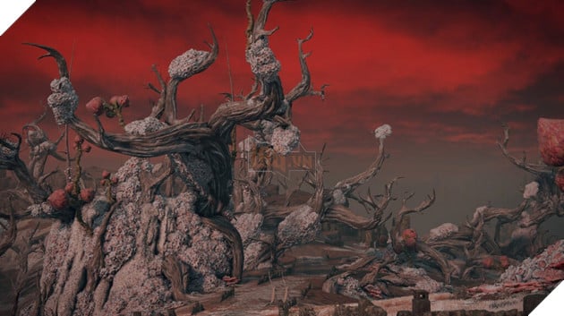 Vẻ đẹp tiềm ẩn của Malenia khi không dính lời nguyền Scarlet Rot trong Elden Ring 2