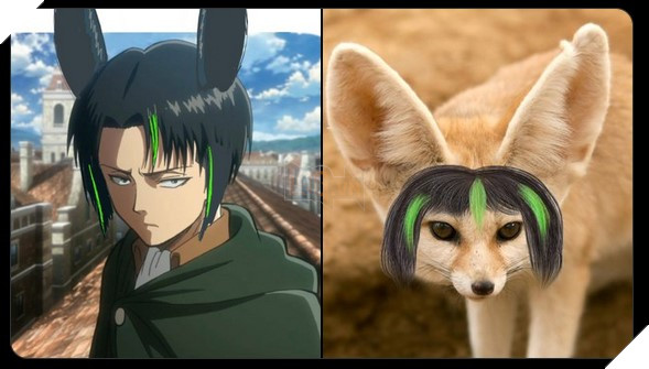 Genshin Impact: Leaker miêu tả hình ảnh trang phục của Tighnari, Dori và Collei