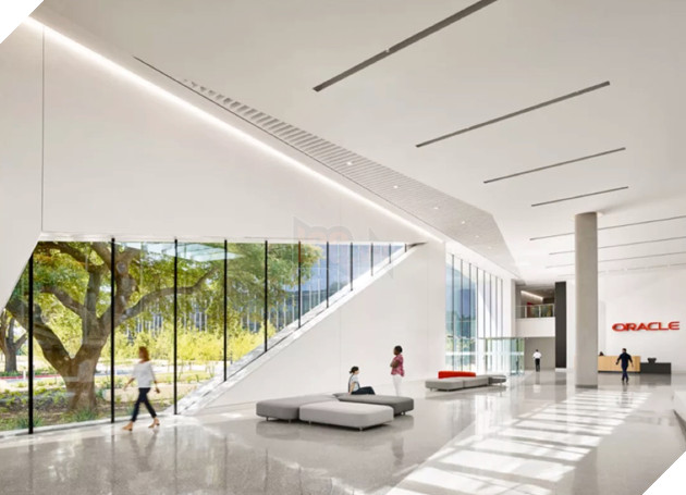 TikTok gửi bằng chứng "thu thập dữ liệu người dùng" không năm trong kế hoạch của ByteDance