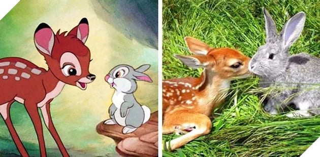Bản sao đời thực của các nhân vật hoạt hình nổi tiếng Phần 1  2