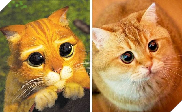 Bản sao đời thực của các nhân vật hoạt hình nổi tiếng Phần 1 