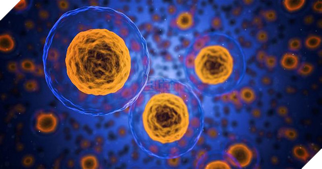 Nghiên cứu mới tạo ra "thần dược" giúp con người sống đến 200 tuổi khi loại bỏ tế bào zombie