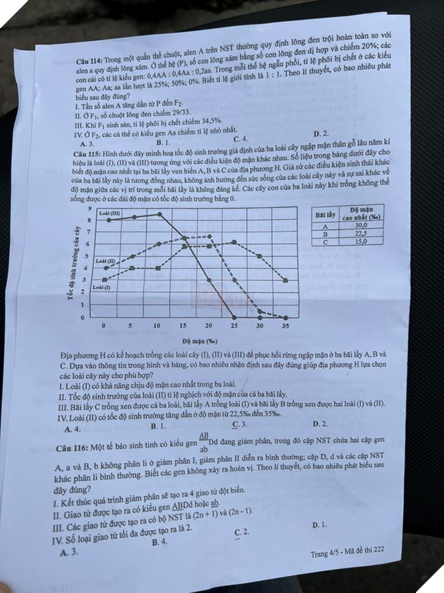 undefined - Ảnh 4.