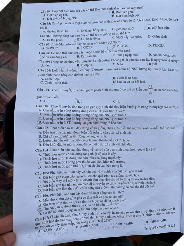 undefined - Ảnh 5.