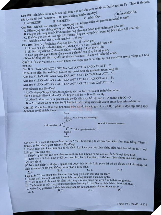 undefined - Ảnh 3.