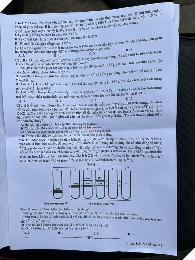 undefined - Ảnh 2.