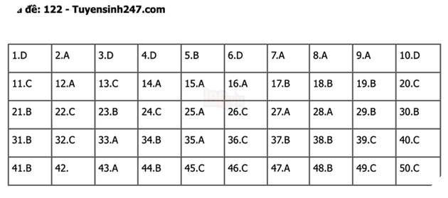 undefined - Ảnh 1.