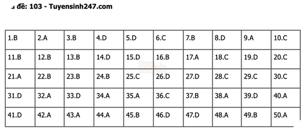 undefined - Ảnh 1.