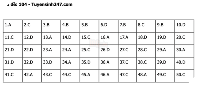 undefined - Ảnh 1.
