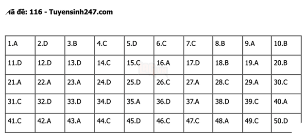 undefined - Ảnh 1.