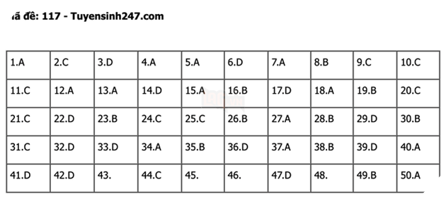 undefined - Ảnh 1.