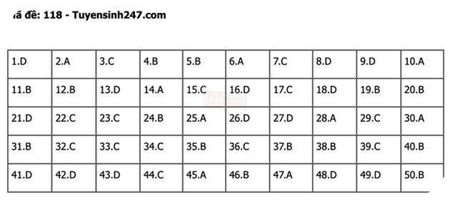 undefined - Ảnh 1.