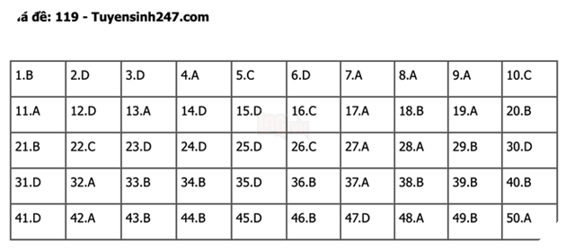 undefined - Ảnh 1.