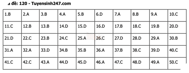 undefined - Ảnh 1.