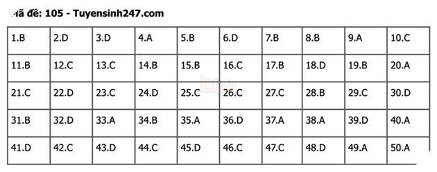 undefined - Ảnh 1.