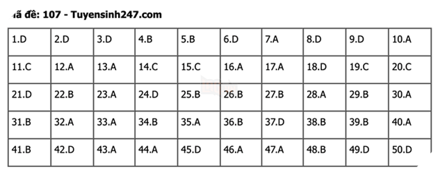 undefined - Ảnh 1.