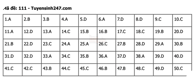 undefined - Ảnh 1.