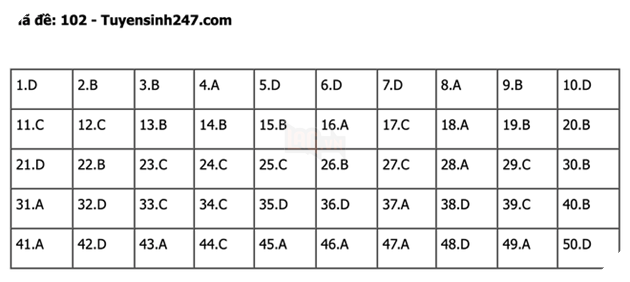 undefined - Ảnh 1.