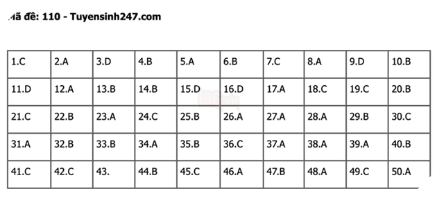 undefined - Ảnh 1.