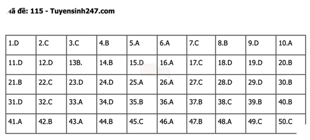 undefined - Ảnh 1.