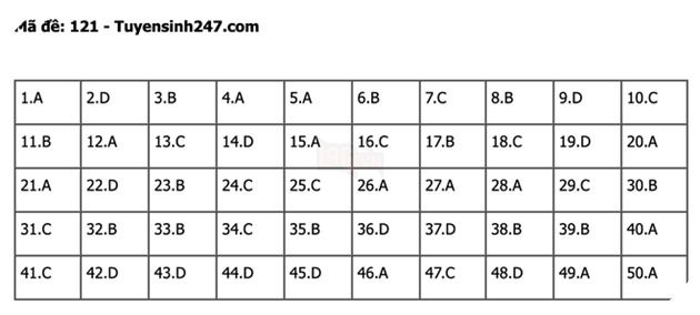 undefined - Ảnh 1.