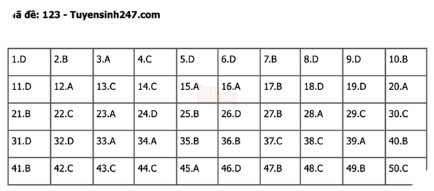 undefined - Ảnh 1.