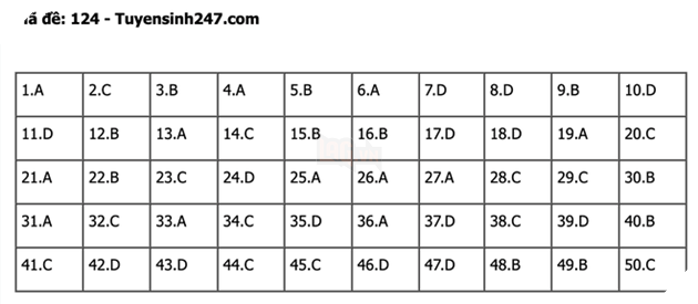 undefined - Ảnh 1.
