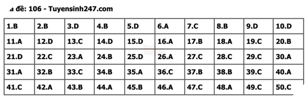 undefined - Ảnh 1.