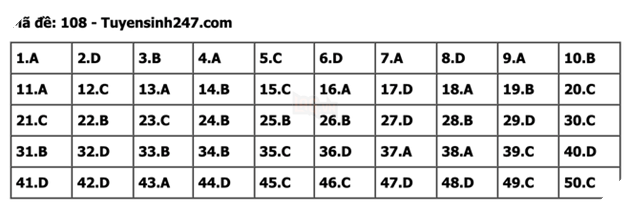 undefined - Ảnh 1.