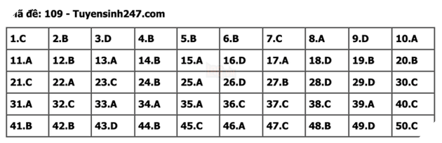 undefined - Ảnh 1.