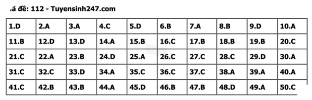 undefined - Ảnh 1.