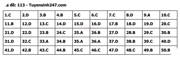 undefined - Ảnh 1.