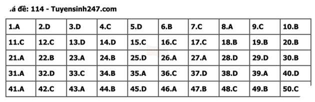 undefined - Ảnh 1.