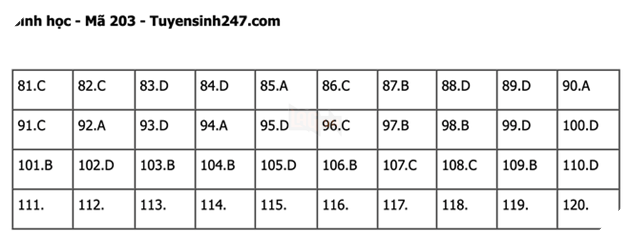 Đáp án Đề Thi tốt nghiệp môn Lý Hóa Sinh năm 2022 THPT Quốc gia chi tiết tất cả mã đề 58